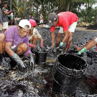 The spill contaminated vast stretches of coastline, smothering coral reefs, mangroves, and seagrass beds in thick, toxic oil.